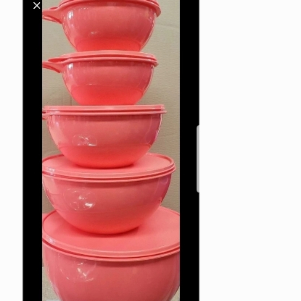 Tupperware THAT'S A Bowl Guava Set